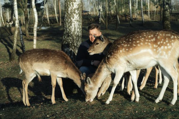 Quelles sont les meilleures méthodes pour promouvoir la cohabitation harmonieuse entre humains et animaux sauvages ?