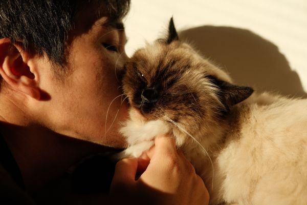 Quels sont les effets psychologiques des interactions avec les animaux de compagnie sur les humains?