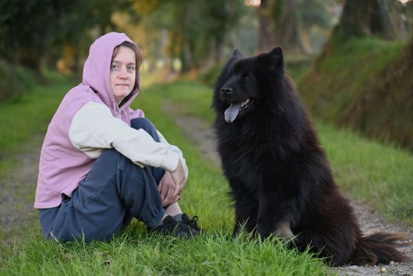 Quels sont les meilleurs conseils pour dresser un chien de grande taille ?